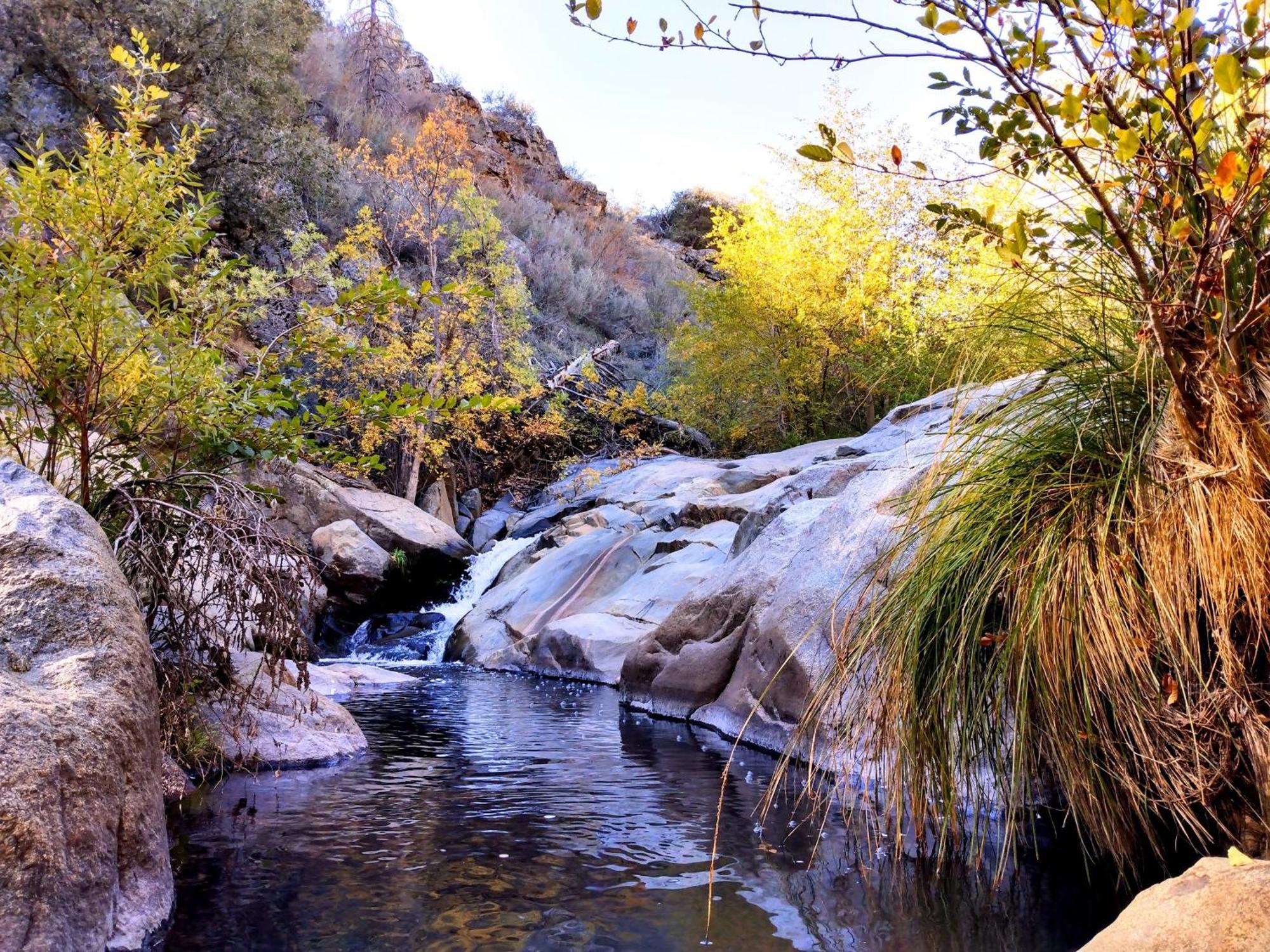 Quiet Mind Lodge, Spa & Retreat Sequoias Kernville Eksteriør bilde